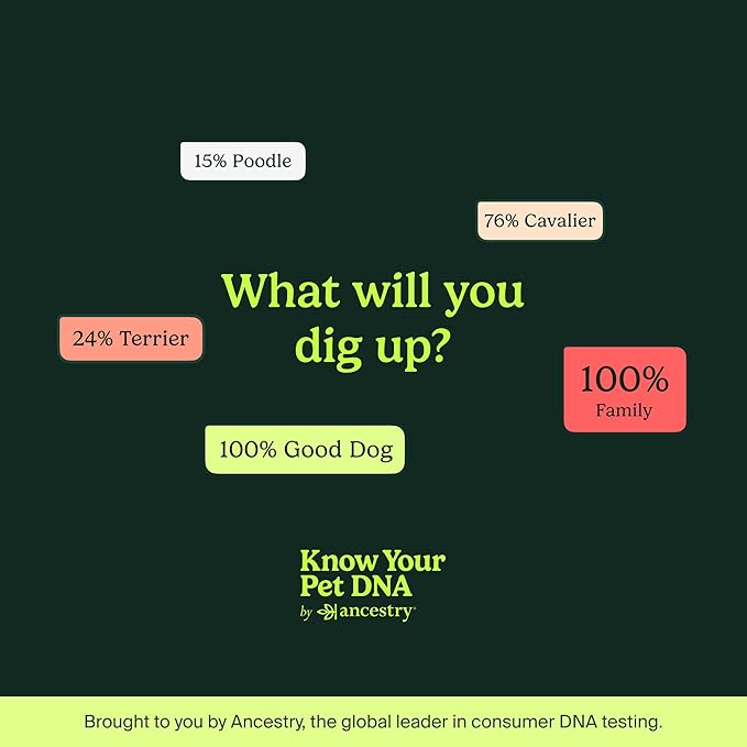 Ancestry Dog DNA Test: The Top-Selling DNA Consumer Brand, Breed Identification, Trait Insights, Health Report, Canine Genetics Analysis, Unique Pet Parent Gift, New Puppy Essentials