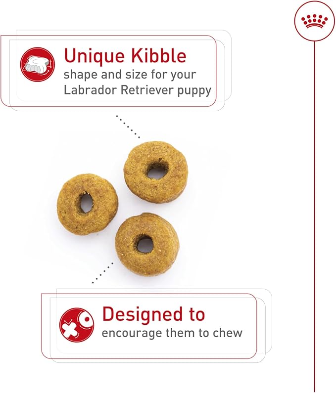 Royal Canin Breed Health Nutrition Labrador Retriever Puppy Dry Dog Food, 30 lb.