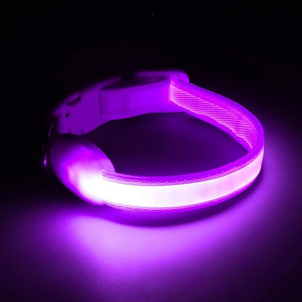 Light up Collar for Small Dog,Vizpet XS Adjustable Size Nylon Collar USB Rechargeable Bright Safety Pet Collar for Cats Small Dogs(Purple, X-Small[ 8.66-11.9 inch/22cm-30cm])