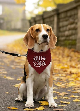 Big Sister Bandana for Dogs, Dog Pregnancy Announcement, Dark Red Dog Bandana, Pet Bandana for Small Medium Large Dogs (M)