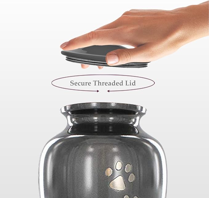 Trupoint Memorials Large Pet Urn for Dogs and Cats Ashes, Paws Print Grey Cremation Urns for Pets up to 122 lbs
