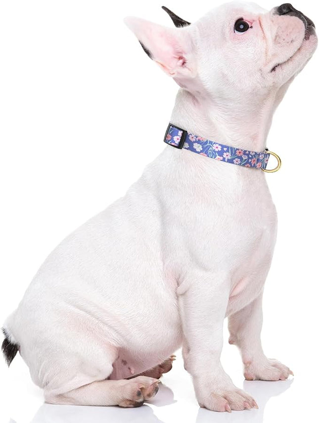 Rnivvi Dog Collar for Small Dogs, Cute Floral Heavy Duty Adjustable Puppy Collar with Quick Release Buckle for Girl & Female, Pet Accessories for Walking Running, XS Length 5/8" Width, White Blue