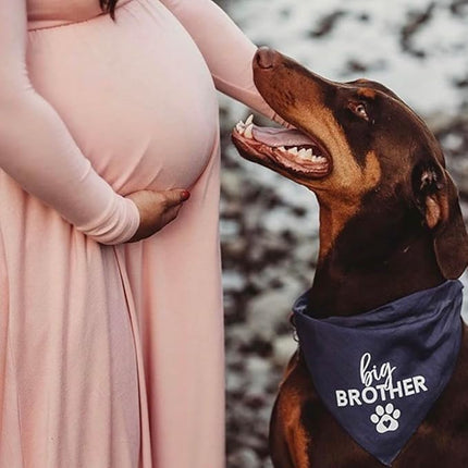 Big Brother Heart Paw Dog Bandana | 100% Cotton Adjustable Triangle | Pregnancy Announcement Photoshoot Prop | New Baby | Made in USA | Matching Family | Black One Size (87) GB