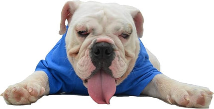 Lovelonglong Bulldog Clothes Dog Clothing Blank T-Shirt Tee Shirts for French Bulldog English Bulldog American Pit Bull Pugs 100% Cotton Skin Care Blue B-XL