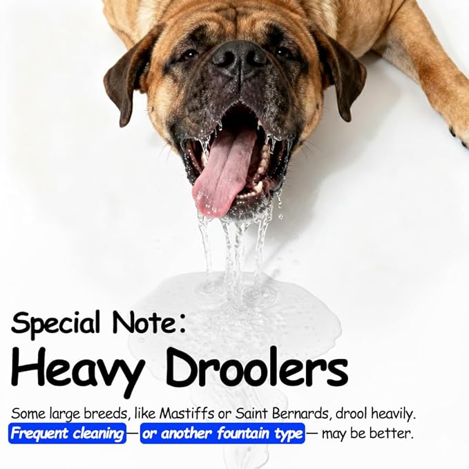 lesotc Dog Water Fountain Stainless Steel, 2.6 Gallon/10L Pet Water Fountain Cat Water Fountain Dog Water Bowl Dispenser for Large Dogs & Multi Pets, Ultra-Quiet, Smart Pump, Easy to Clean