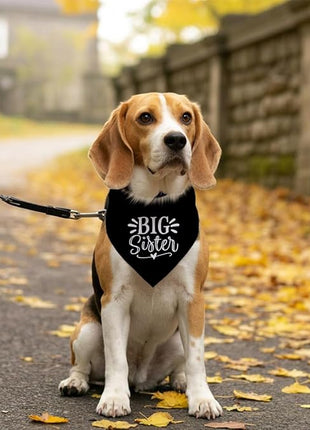 Big Sister Bandana for Dog, Pet Pregnancy Announcement, Black Dog Bandana, Big Sister Dogs Shirt, Pet Bandana for Small Medium Dogs (M)