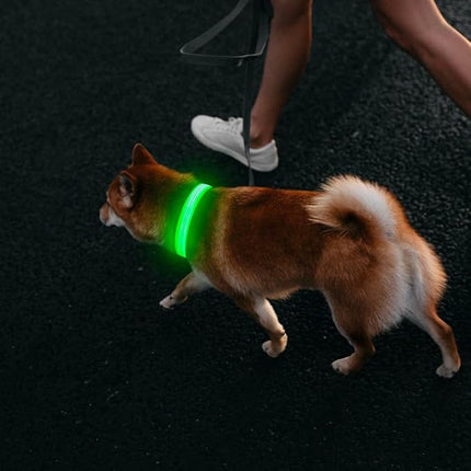 Light Up Dog Collars - USB Rechargeable Reflective LED Dog Collar, Water-Resistant Glow Pet Collar Lights for Night Walking Camping (Green, Medium)