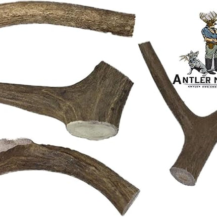 Antler Man Premium Deer Antler Pieces - Dog Chews - Sold by The Pound