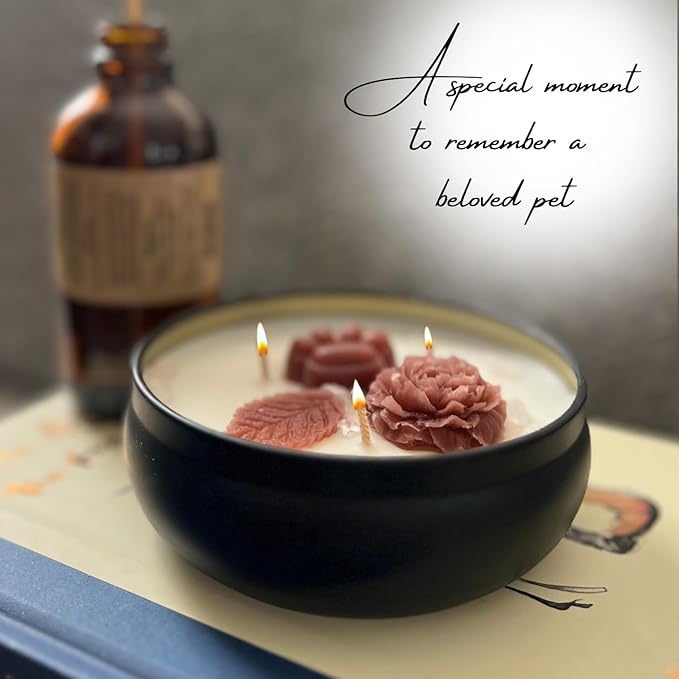 Paw Print Pet Loss Candle – Dog Memorial Gifts for Loss of Dog – Sympathy Gift and Bereavement Candle with Rose Quartz Stones, Clementine, Jasmine & Amber Musk – Rainbow Bridge Pet Remembrance Gift