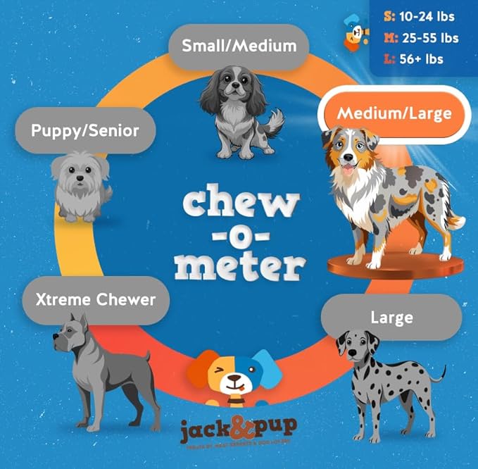 Jack&Pup 6-inch Premium Grade Odor Free Bully Sticks Dog Treats [Thick-Size] – 6” Long All Natural Gourmet Dog Treat Chews – Fresh and Savory Beef Flavor - (6 Pack)