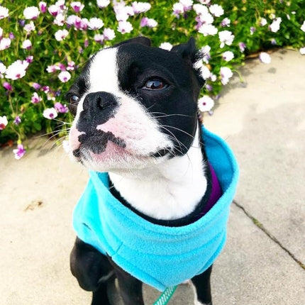 Gooby Stretch Fleece Vest Dog Sweater - Mint, Large - Warm Pullover Super Stretchy Fleece Dog Jacket for Small to Large Dogs