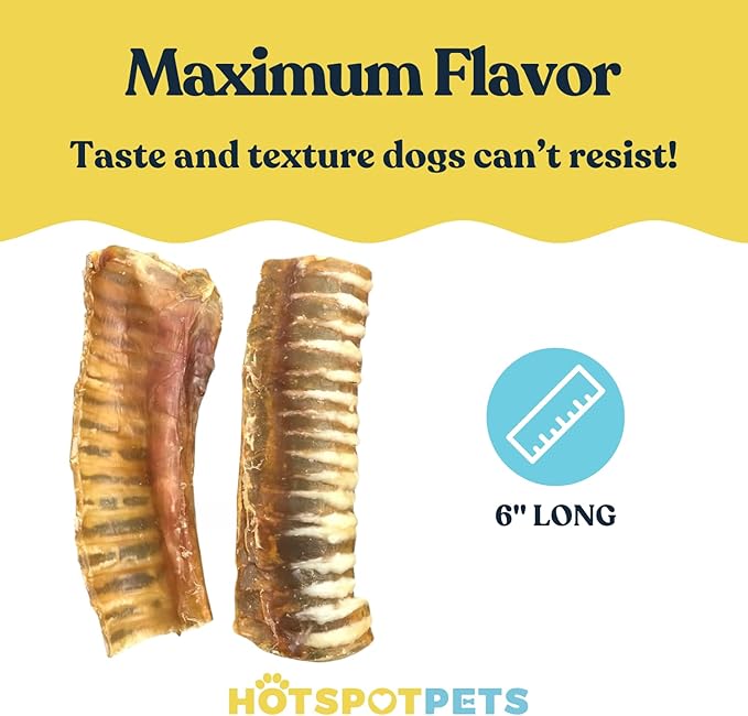 hotspot pets Premium Beef Trachea for Dogs 6" Strips Split - (40 Pack) All Natural Grass-Fed Beef Dog Chews, Rich in Glucosamine Chondroitin for Joint Health, Single Ingredient No Rawhide Dog Treats