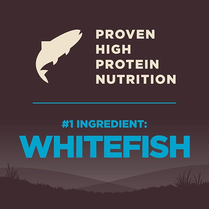 Wellness CORE Dry Dog Food, Wholesome Grains, High Protein, Natural, Ocean Whitefish & Herring Recipe, (22-Pound Bag)