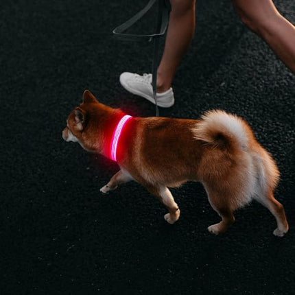Light Up Dog Collar, USB Rechargeable Reflective LED Pet Collar Adjustable High Visibility Doggie Necklace Lights for Night Walking (Pink, Large)