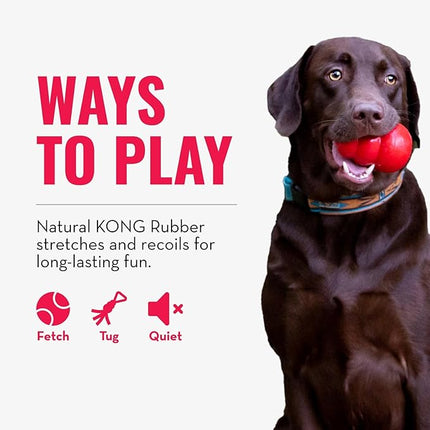 KONG Tug Toy - Dog Supplies for Tug of War - Natural Rubber Dog Toy for Outdoor & Indoor Playtime - for Medium/Large Dogs