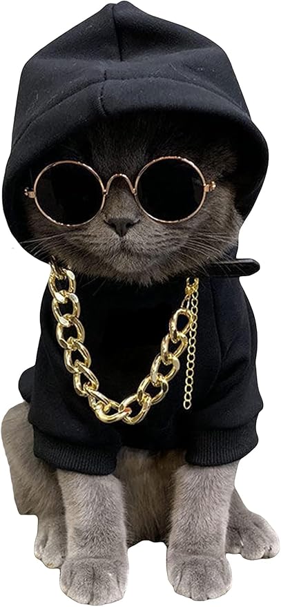 QWINEE 3Pcs Dog Hoodie Cat Apparel Dog Custume Set with Necklace and Sunglasses Pet Clothes for Puppy Small Medium Dogs Cats Multicolor XXL