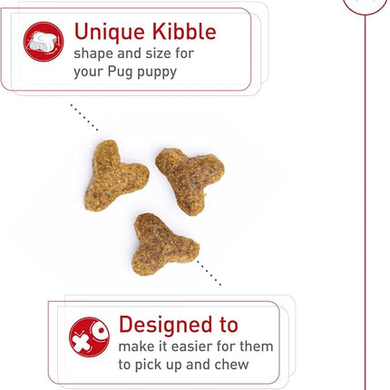 Royal Canin Breed Health Nutrition Pug Puppy Dry Dog Food, 2.5 lb Bag