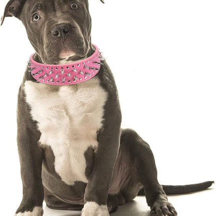 Hoot PU Leather Adjustable Spiked Studded Dog Collar 2" Wide 31 Spikes (S(Neck 17"-20"), Rose Red)