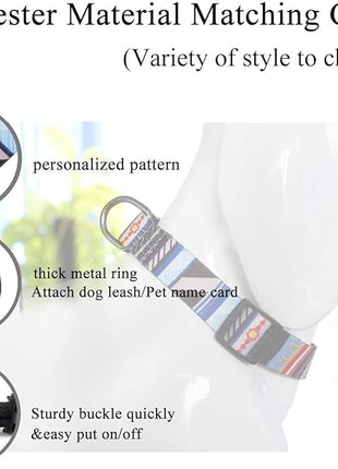 Roses&Poetry Dog Collar with Colourful Stripe Patterns, Adjustable Durable Puppy Collars for Small Medium Large Dogs (Stripe-L)