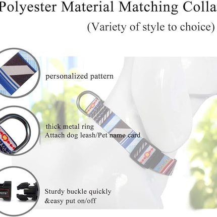 Roses&Poetry Dog Collar and Leash for Small,Adjustable Durable Blue 5ft Puppy Leash Collar for Dog Training Lead（Stripe-L）