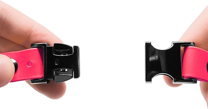 Educator Quick Snap Bungee Dog Collar, Biothane, Waterproof, Odorproof, Easy Connect and Disconnect Clasp and D Ring with Comfort Bungee Loop, Adjustable for Custom Fit, 3/4-Inch, Pink