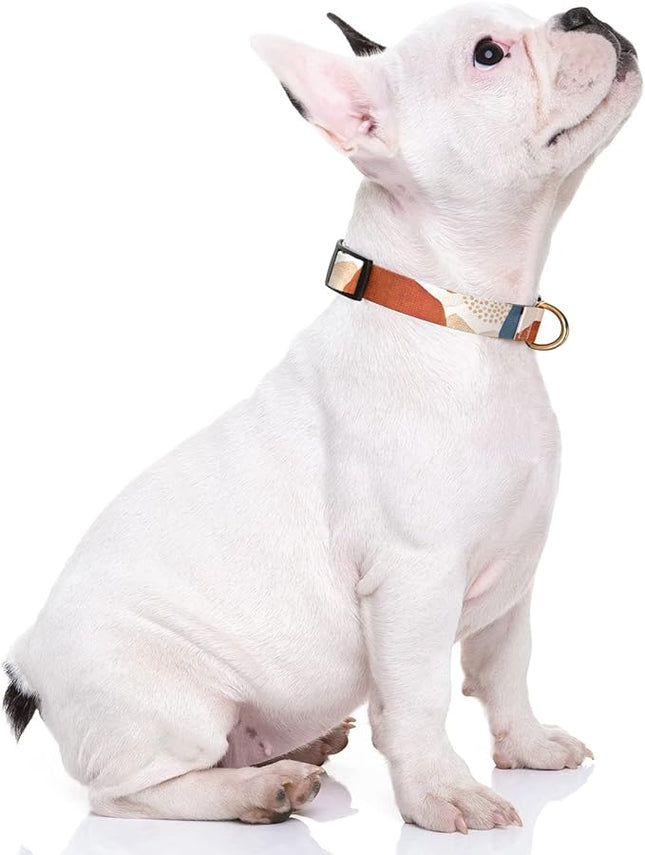 Rnivvi Dog Collar for Small Dogs, Cute Heavy Duty Adjustable Puppy Collar with Quick Release Buckle for Boy Girl & Female, Pet Accessories for Walking Running, XS Length 5/8" Width, Abstract Art