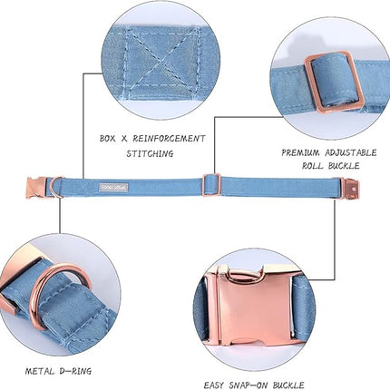 Lionet Paws Bowtie Dog Collar - Comfortable Silk Dog Collar with Detachable Bow Tie for Medium Dogs, Neck 13.5-22 Inches