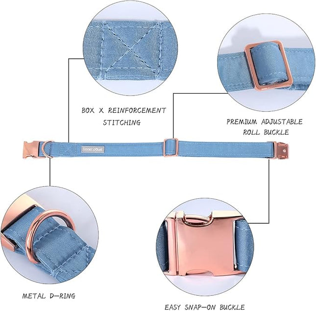 Lionet Paws Bowtie Dog Collar - Comfortable Silk Dog Collar with Detachable Bow Tie for Medium Dogs, Neck 13.5-22 Inches