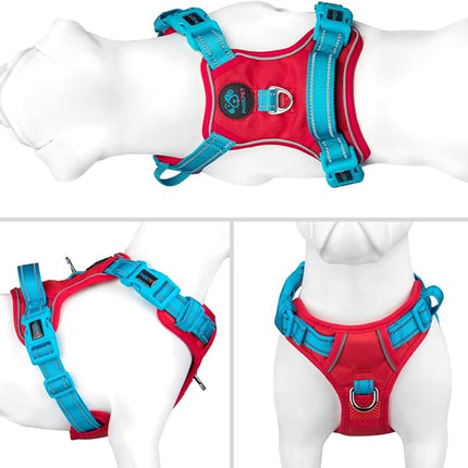 PHOEPET No Pull Dog Harness, Unique Colors Reflective Adjustable Dog Vest, with Soft Training Handle Metal Clips for Small Medium Large Dogs (Red Base & Teal Straps,L)