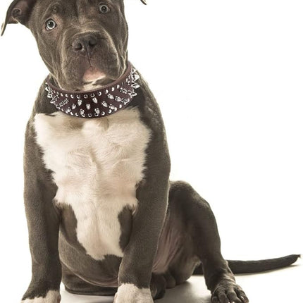 Hoot PU Leather Adjustable Spiked Studded Dog Collar 2" Wide 43 Spikes (L(Neck 21"-24"), Dark Brown)