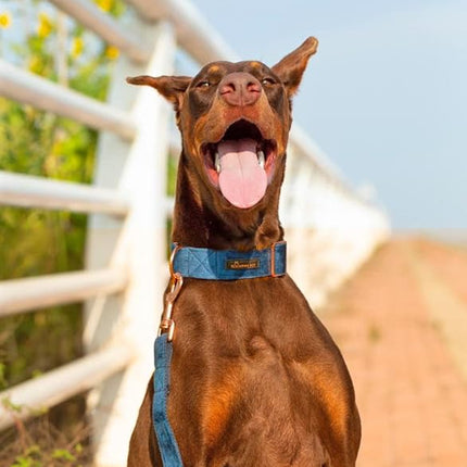 ARING PET Velvet Dog Collar and Leash Set, Soft Dog Collar and Leash, Adjustable Collars for Dogs