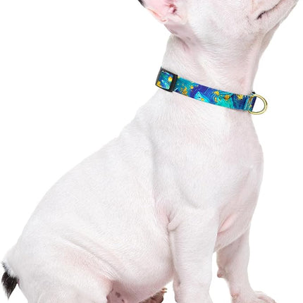 Rnivvi Dog Collar for Small Dogs, Cute Marble Heavy Duty Adjustable Puppy Collar with Quick Release Buckle for Girl & Female, Pet Accessories for Walking Running, S Length 3/4" Width, Golden Ocean