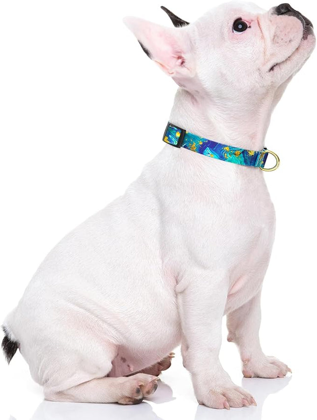 Rnivvi Dog Collar for Small Dogs, Cute Marble Heavy Duty Adjustable Puppy Collar with Quick Release Buckle for Girl & Female, Pet Accessories for Walking Running, S Length 3/4" Width, Golden Ocean