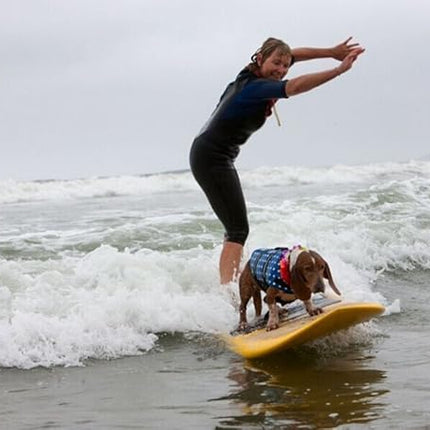 HAOCOO Dog Life Jacket Vest Saver Safety Swimsuit Preserver with Reflective Stripes/Adjustable Belt Dogs?Blue Polka Dot,XXS