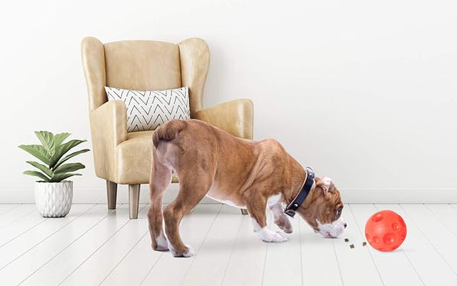 Omega Paw Authentic Tricky Treat Ball - Medium,Orange