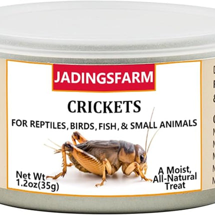 6 Pack Canned Crickets for Reptiles, Fish, Birds and Small Animals, Crickets, Healthy High Protein Treat, Reptile Bird Fish Food 1.2 Ounces Each