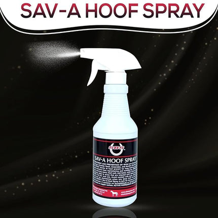 SBS Equine Spray | Hoof Treatment Provides Antiseptic Barrier Against Infection | Fights Hoof iIlness | Long-Lasting (16 Fluid Oz Spray)