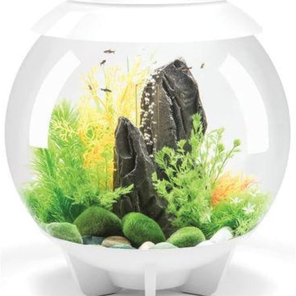 biOrb Halo 30 Acrylic 8-Gallon Aquarium with Multi-Color Remote-Controlled LED Lights Modern Tank for Tabletop Display, White