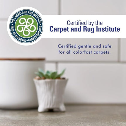 Rocco & Roxie Supply Co. Stain & Strong Odor Eliminator, Enzyme Cleaner, Pet Odor Eliminator for Home - Carpet Stain Remover for Cats & Dog Pee - Urine Destroyer - Carpet Cleaner Spray Clear, 32 Fl Oz