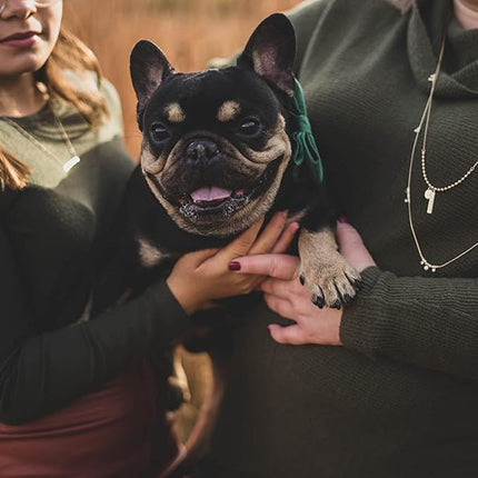 ARING PET Christmas Dog Collars with Bowtie, Cute Xmas Green Velvet Pet Bow Tie Collar with Metal Buckle for Puppy Small Medium Large Boy Girl Dogs-S