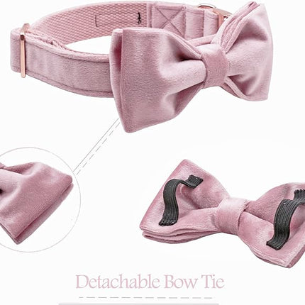 ARING PET Velvet Dog Collars with Bow tie, Bowtie Dog Collar, Cute Pink Collar for Girl and Boy Dogs,Small.