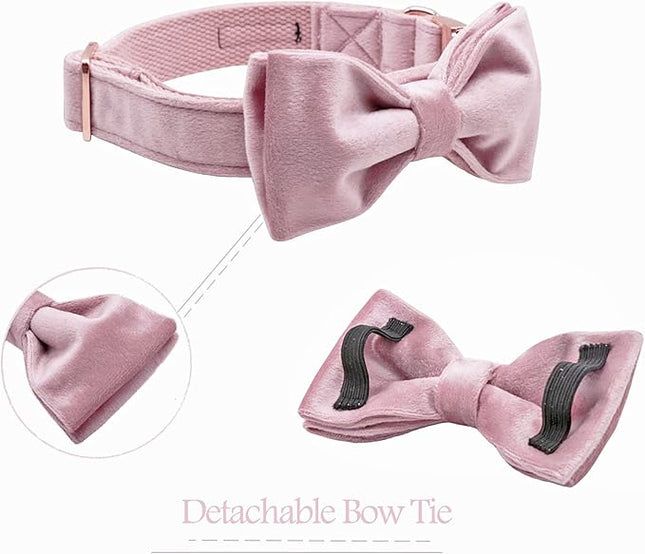 ARING PET Velvet Dog Collars with Bow tie, Bowtie Dog Collar, Cute Pink Collar for Girl and Boy Dogs,X-Small.