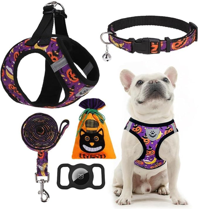 EXPAWLORER Halloween Puppy Harness - Dog Collar and Leash - Soft Mesh Padded Adjustable Step in Small Dog Vest Harness No Pull, Reflective Escape Proof for Outdoor Walking, Purple M