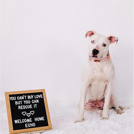 Elegant little tail Dog Collar, Pink Floral Girl Pet Collar Durable Cute Dog Collars Summer Female Pet Gift Adjustable Dog Collar for Large Dogs