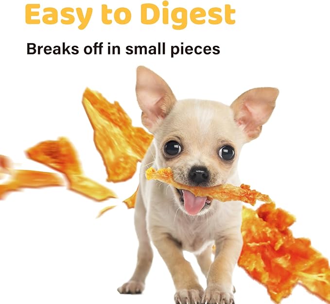 iPaw Turkey Tendon for Dogs 5 Pcs Value Pack, Ingredient Sourced from USA, Hypoallergenic, All Natural Human Grade Puppy Chew, Dog Treats for Signature Series, Rawhide Alternative, Ring (Medium)