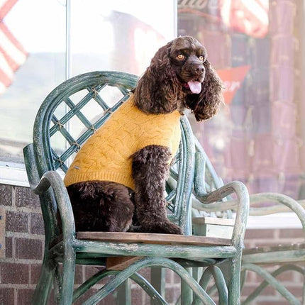 Blueberry Pet Classic Fuzzy Textured Knit Pullover Crew-Neck Dog Sweater in Mustard Yellow, Back Length 20", Pack of 1 Clothes for Dogs
