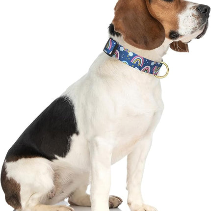 Rnivvi Dog Collar for Medium Dogs, Cute Heavy Duty Adjustable Puppy Collar with Quick Release Buckle for Girl & Female, Pet Accessories for Walking Running, M Length 1" Width, Blue Rainbow