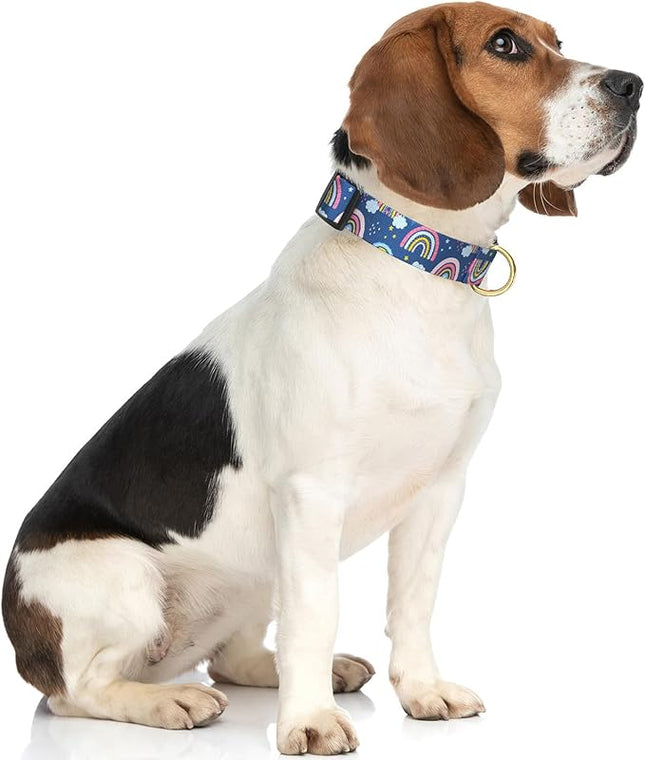 Rnivvi Dog Collar for Medium Dogs, Cute Heavy Duty Adjustable Puppy Collar with Quick Release Buckle for Girl & Female, Pet Accessories for Walking Running, M Length 1" Width, Blue Rainbow