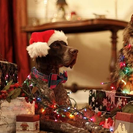 Lionet Paws Christmas Dog and Cat Collar with Bowtie,Soft and Comfortable,Adjustable Collar