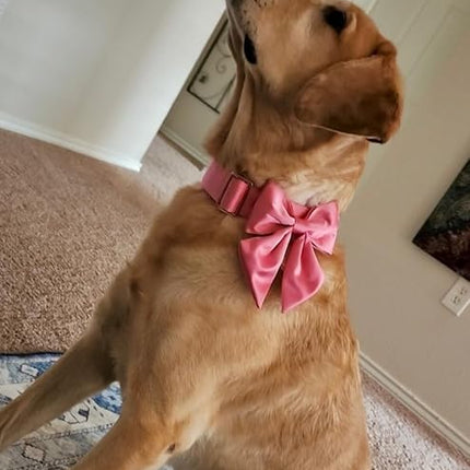 Lionet Paws Bowtie Dog Collar - Comfortable Silk Dog Collar with Detachable Bow Tie for Puppy and Cat, Neck 8-12 Inches